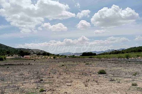 Helårsgrund i Yecla, Murcia, Yecla - € 25.000 | Ref: SF0457 - foto 11